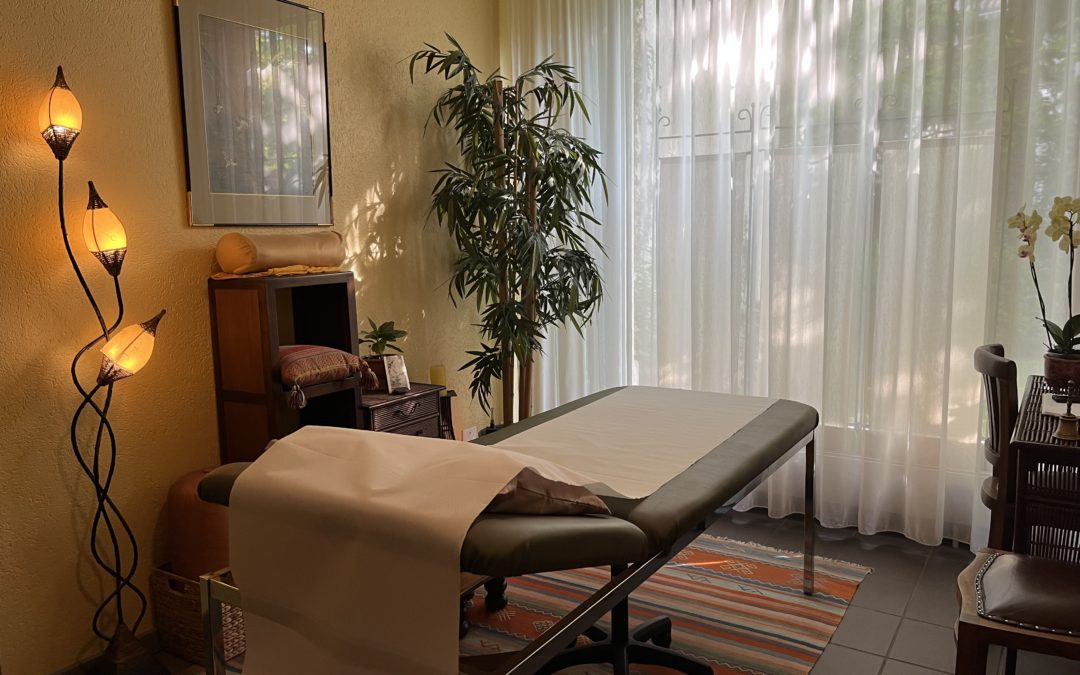 A sous-louer dans cabinet de groupe à Carouge